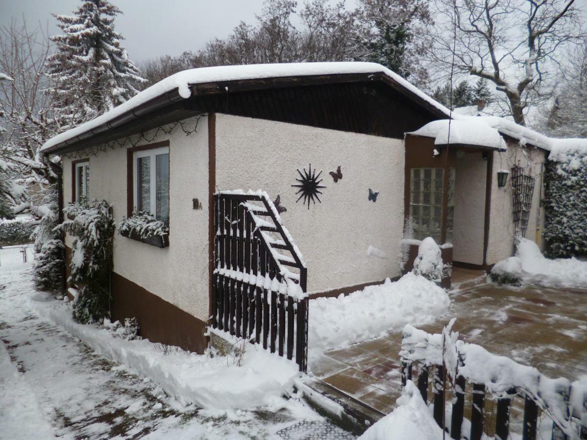 Ferienhaus Anne Thale Exteriör bild